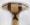 whiskey-jack-sup-paddles-the-deuce-paddleboarding3