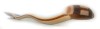 whiskeyjack double whiskey river canoe paddle