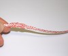 marlow excel d12 3mm rope